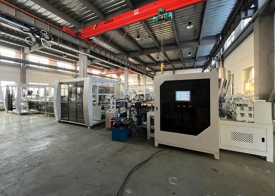 Het volledig Automatische Vacuüm van de Blaarmachine dat Producten van Grondstoffenkorrels kan direct produceren