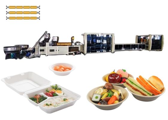 Het Materiaal Beschikbare Plastic Container die van de drie Schroefblaar Machine maken